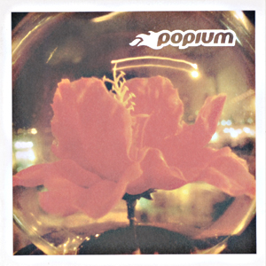 Popium er blitt karakterisert som en supergruppe, og består av mange sentrale musikere fra bergensmiljøet. Deres første CD, ''Popium'', kom i 2001
